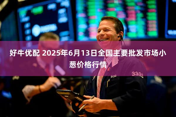 好牛优配 2025年6月13日全国主要批发市场小葱价格行情