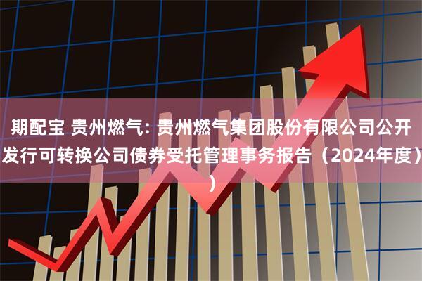 期配宝 贵州燃气: 贵州燃气集团股份有限公司公开发行可转换公司债券受托管理事务报告（2024年度）